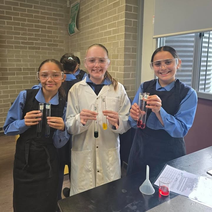 742044371255155_1415383480587904-1