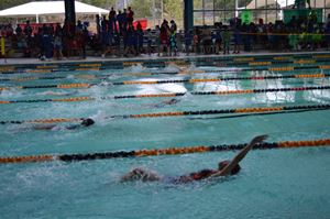 2018 Swimming Carnival 42