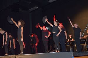 2019 CAPA Showcase16