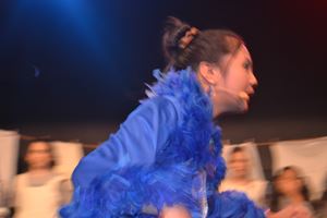 DSC 0239