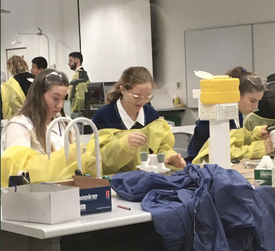 2017 UTS STEM Day 2