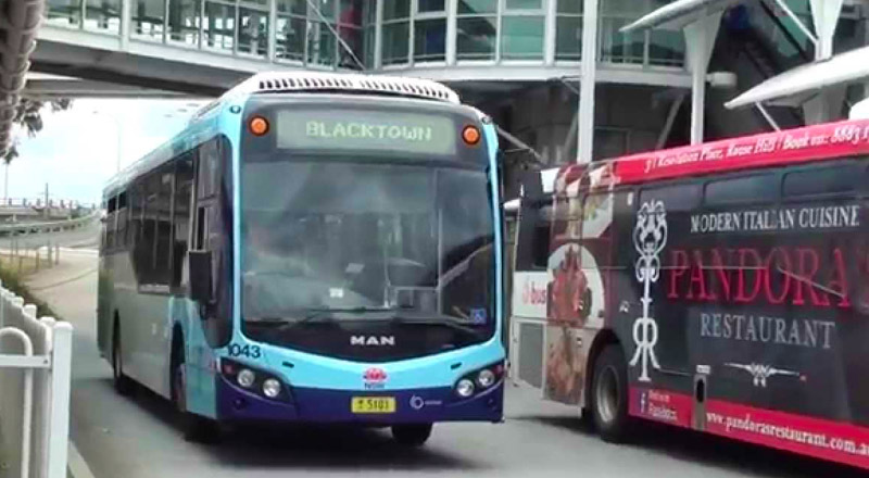 Westbus Blacktown Route for Nagle College Blacktown