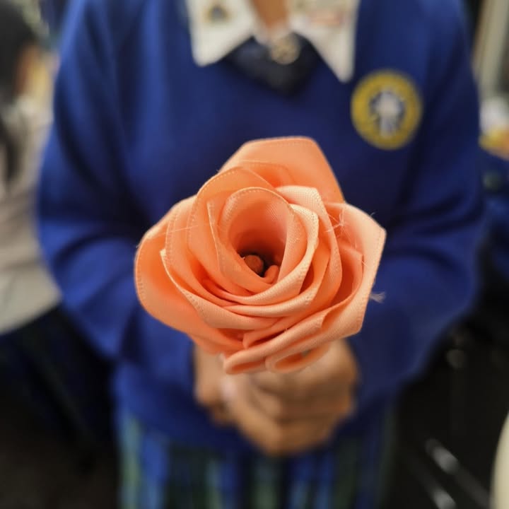 742044371255155_1421131346679784-1