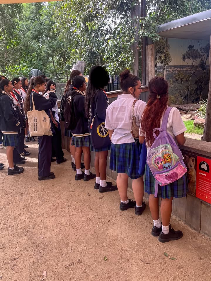 742044371255155_1547291800730404-1