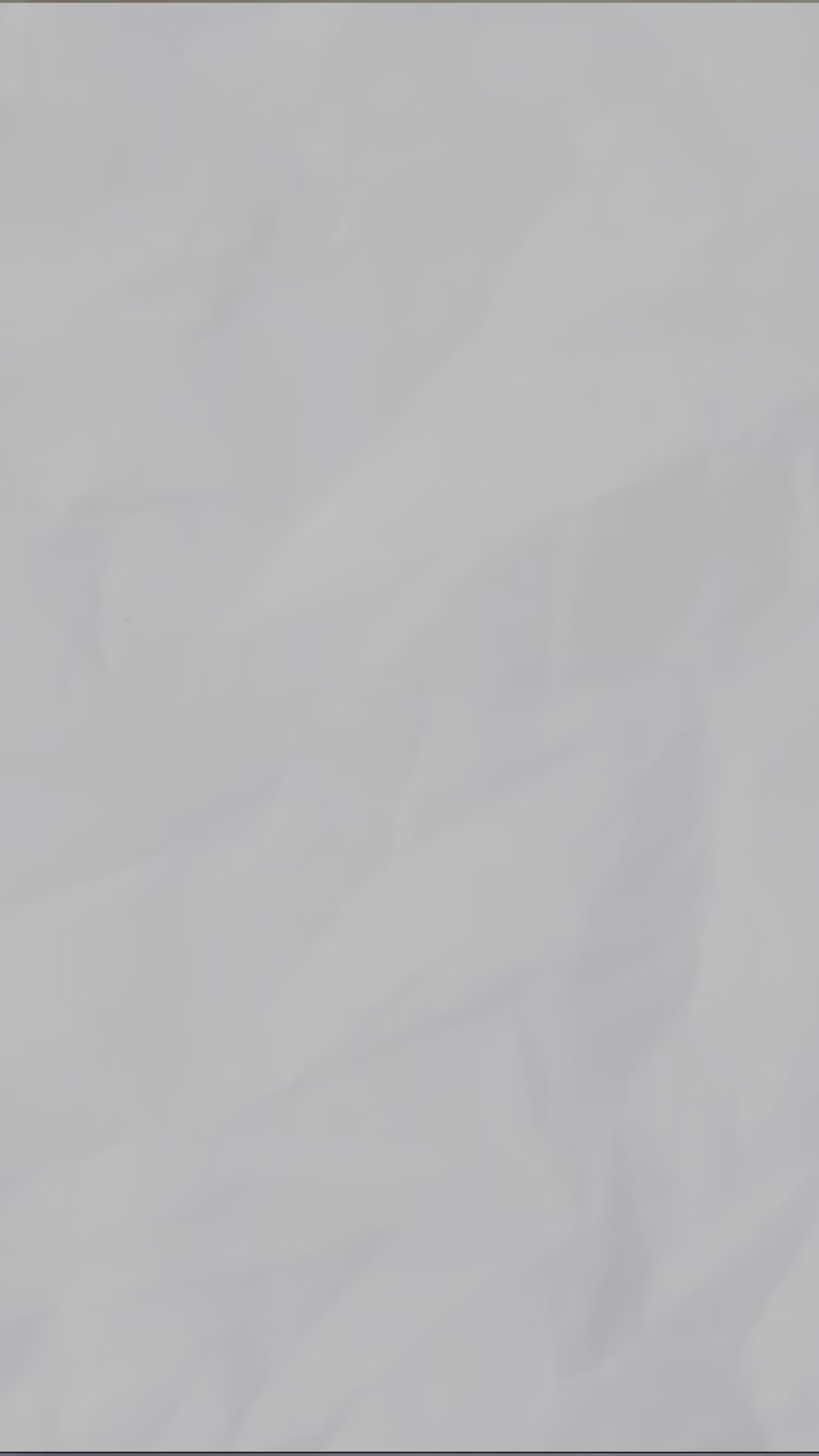 17943055608333203-1